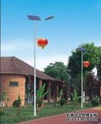 <b>蓝狮APP农村太阳能led路灯安裝和应用关键点难题</b>